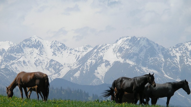 Photo Land Kazakhstan