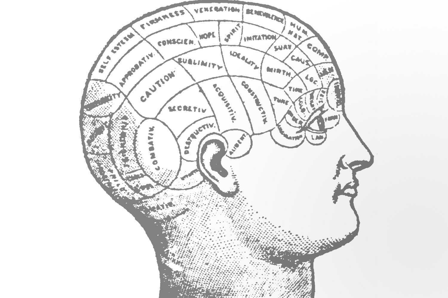 F brain. Галль Френология. Френология Франца Галля. Френологические карты ф.Галля.