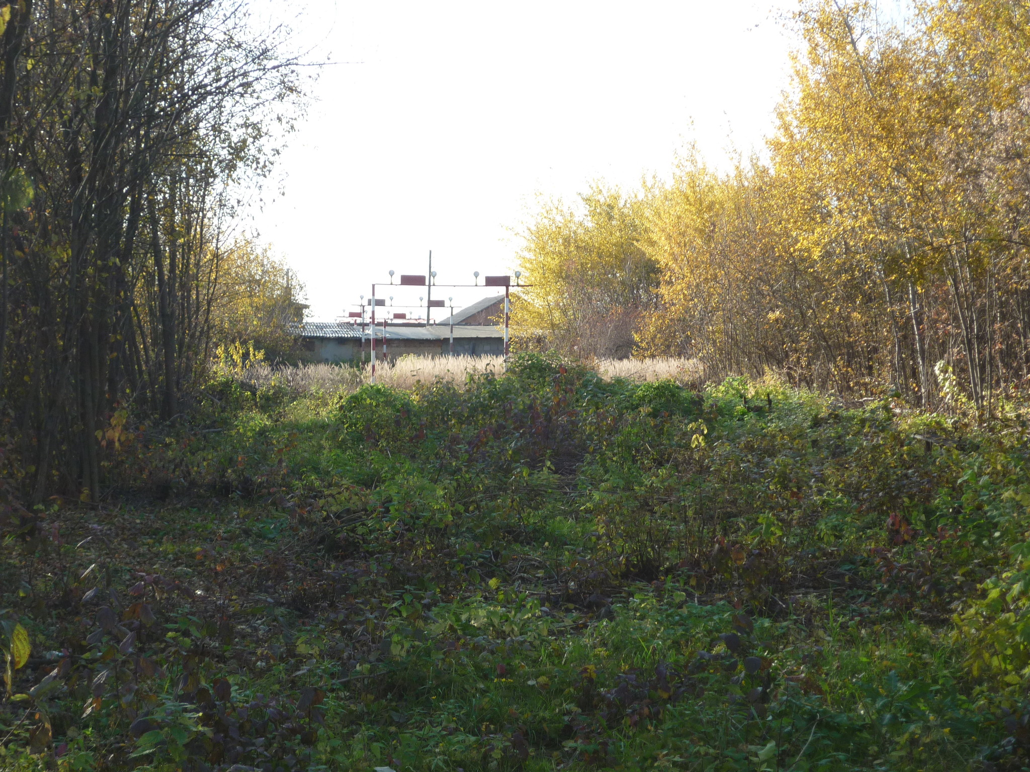 Гарнизон щербинка. Остафьево военный городок. Поселок Остафьево Гарнизон. Гарнизон Остафьево Щербинка пруд.